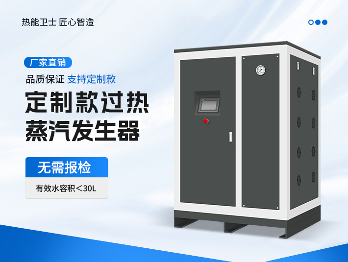 定制款過熱蒸汽發生器